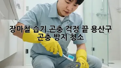 장마철 습기? 곤충 걱정 끝! 용산구 곤충 방지 청소