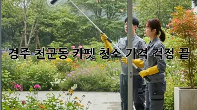 경주 천군동 카펫 청소, 가격 걱정 끝!