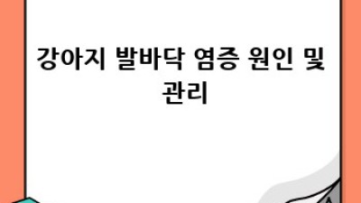 우리 강아지, 발 패드 건강하게 지켜주기🐶🐾